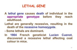 04_Gene interaction_2024 (2).pdfhjjjjjjjjj | PDF