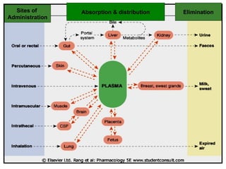 04 GENERAL PHARMACOLOGY (absorption).ppt