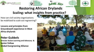 Restoring African Drylands
Scaling: what insights from practice?
How can civil society organizations
be mobilized to scale out regreening?
Lessons and principles from
Groundswell experience in West
Africa drylands
Peter Gubbels
Director Action Learning and Advocacy &
Senior Fellow
Global Evergreening Alliance
 