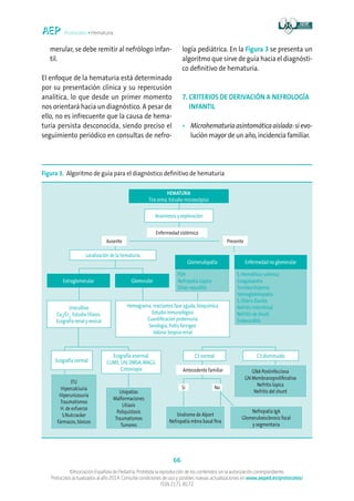 Protocolos • Hematuria
66
©Asociación Española de Pediatría. Prohibida la reproducción de los contenidos sin la autorización correspondiente.
Protocolos actualizados al año 2014. Consulte condiciones de uso y posibles nuevas actualizaciones en www.aeped.es/protocolos/
ISSN 2171-8172
merular, se debe remitir al nefrólogo infan-
til.
El enfoque de la hematuria está determinado
por su presentación clínica y su repercusión
analítica, lo que desde un primer momento
nos orientará hacia un diagnóstico. A pesar de
ello, no es infrecuente que la causa de hema-
turia persista desconocida, siendo preciso el
seguimiento periódico en consultas de nefro-
logía pediátrica. En la Figura 3 se presenta un
algoritmo que sirve de guía hacia el diagnósti-
co definitivo de hematuria.
7. CRITERIOS DE DERIVACIÓN A NEFROLOGÍA
INFANTIL
•	Microhematuriaasintomáticaaislada:sievo-
lución mayor de un año, incidencia familiar.
Figura 3. Algoritmo de guía para el diagnóstico definitivo de hematuria
HEMATURIA
Tira orina. Estudio microscópico
Extraglomerular
Nefropatía IgA
Glomeruloesclerosis focal
y segmentaria
Glomerular
Urocultivo
Cao
/Cro
. Estudio litiasis.
Ecografía renal y vesical
Hemograma, reactantes fase aguda, bioquímica
Estudio inmunológico
Cuantificación proteinuria
Serología, frotis faríngeo
Valorar biopsia renal
Enfermedad no glomerular
S. Hemolítico-urémico
Coagulopatía
Trombocitopenia
Hemoglobinopatía
S. Ehlers-Danlos
Nefritis intersticial
Nefritis de shunt
Endocarditis
Ausente
Sí No
Presente
Enfermedad sistémica
Localización de la hematuria
Anamnesis y exploración
Glomerulopatía
PSH
Nefropatía Lúpica
Otras vasculitis
GNA Postinfecciosa
GN Membranoproliferativa
Nefritis lúpica
Nefritis del shunt
C3 normal C3 disminuido
Antecedente familiar
Síndrome de Alport
Nefropatía mbna basal fina
ITU
Hipercalciuria
Hiperuricosuria
Traumatismos
H. de esfuerzo
S.Nutcracker
Fármacos, tóxicos
Uropatías
Malformaciones
Litiasis
Poliquistosis
Traumatismos
Tumores
Ecografía normal
Ecografía anormal.
CUMS, UIV, DMSA, MAG3,
Cistoscopia
 