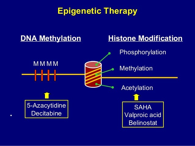 Elderly AML by Mohamad Mohty Elderly AML by Mohamad Mohty