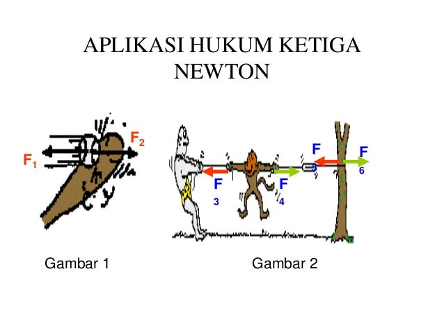 FISIKA DASAR_04 hukum newton