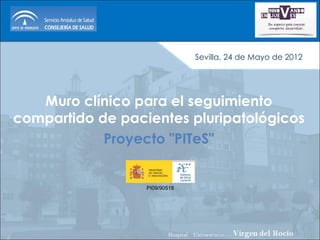 Sevilla, 24 de Mayo de 2012




   Muro clínico para el seguimiento
compartido de pacientes pluripatológicos
            Proyecto "PITeS"


                  PI09/90518
 