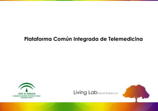 Plataforma Común Integrada de Telemedicina
 