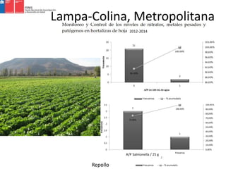 Lampa-Colina, Metropolitana
A/P Salmonella / 25 g
Repollo
2012-2014
 