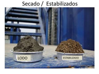 LODO ESTABILIZADO
 