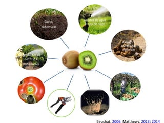 Calidad de agua
y tipo de riego
Suelo/
coberturas
Abonos y
enmiendas
orgánicas
Productos de
control y
fertilizantes
Beuchat, 2006; Matthews, 2013; 2014
 