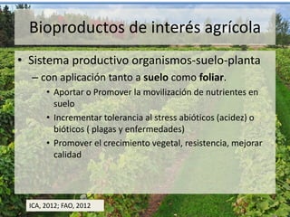 Bioproductos de interés agrícola
• Sistema productivo organismos-suelo-planta
– con aplicación tanto a suelo como foliar.
• Aportar o Promover la movilización de nutrientes en
suelo
• Incrementar tolerancia al stress abióticos (acidez) o
bióticos ( plagas y enfermedades)
• Promover el crecimiento vegetal, resistencia, mejorar
calidad
ICA, 2012; FAO, 2012
 