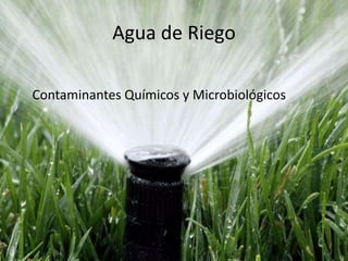 Agua de Riego
Contaminantes Químicos y Microbiológicos
 