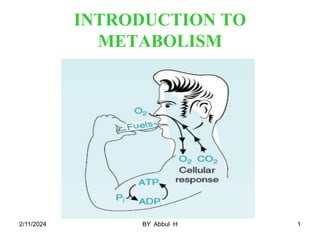 1
INTRODUCTION TO
METABOLISM
2/11/2024 BY Abbul H
 