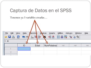 Captura de Datos en el SPSS Tenemos ya 3 variables creadas… 