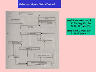 Siklus Nutrisi pada Sistem Pastoral
(A)Siklus lokal dari P,
K, Ca, Mg, Cu, Zn,
B, Cl, Mo, Mn, Fe,
(B)Siklus Global dari
C, N, O dan H
 