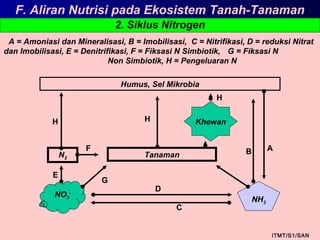 2. Siklus Nitrogen
ITMT/S1/SAN
A = Amoniasi dan Mineralisasi, B = Imobilisasi, C = Nitrifikasi, D = reduksi Nitrat
dan Imobilisasi, E = Denitrifikasi, F = Fiksasi N Simbiotik, G = Fiksasi N
Non Simbiotik, H = Pengeluaran N
NO3
-
NH3
Humus, Sel Mikrobia
Tanaman
H
G
B
E
F A
N2
Khewan
D
C
H
H
F. Aliran Nutrisi pada Ekosistem Tanah-Tanaman
 