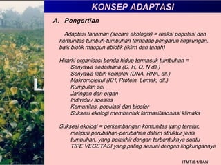 KONSEP ADAPTASI
ITMT/S1/SAN
A. Pengertian
Adaptasi tanaman (secara ekologis) = reaksi populasi dan
komunitas tumbuh-tumbuhan terhadap pengaruh lingkungan,
baik biotik maupun abiotik (iklim dan tanah)
Hirarki organisasi benda hidup termasuk tumbuhan =
Senyawa sederhana (C, H, O, N dll.)
Senyawa lebih komplek (DNA, RNA, dll.)
Makromolekul (KH, Protein, Lemak, dll.)
Kumpulan sel
Jaringan dan organ
Individu / spesies
Komunitas, populasi dan biosfer
Suksesi ekologi membentuk formasi/asosiasi klimaks
Suksesi ekologi = perkembangan komunitas yang teratur,
meliputi perubahan-perubahan dalam struktur jenis
tumbuhan, yang berakhir dengan terbentuknya suatu
TIPE VEGETASI yang paling sesuai dengan lingkungannya
 
