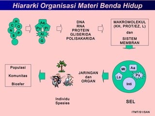 P
S
N
O
H
C
Hiararki Organisasi Materi Benda Hidup
Aa
PiPu
Al
G
DNA
RNA
PROTEIN
GLISERIDA
POLISAKARIDA
MAKROMOLEKUL
(KH, PROT/EZ, L)
dan
SISTEM
MEMBRAN
SEL
Mt Aa
Ls
Ps
Inti
JARINGAN
dan
ORGAN
Individu
Spesies
Populasi
Komunitas
Biosfer
ITMT/S1/SAN
 