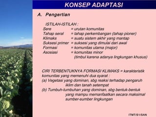 KONSEP ADAPTASI
ITMT/S1/SAN
A. Pengertian
ISTILAH-ISTILAH :
Sere = urutan komunitas
Tahap seral = tahap perkembangan (tahap pioner)
Klimaks = suatu sistem akhir yang mantap
Suksesi primer = suksesi yang dimulai dari awal
Formasi = komunitas utama (major)
Asosiasi = komunitas minor
(timbul karena adanya lingkungan khusus)
CIRI TERBENTUKNYA FORMASI KLIMAKS = karakteristik
komunitas yang memenuhi dua syarat :
(a) Vegetasi yang dominan, sbg reaksi terhadap pengaruh
iklim dan tanah setempat
(b) Tumbuh-tumbuhan yang dominan, sbg bentuk-bentuk
yang mampu memanfaatkan secara maksimal
sumber-sumber lingkungan
 