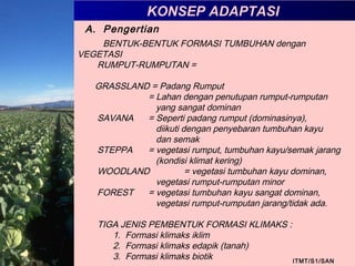 KONSEP ADAPTASI
ITMT/S1/SAN
A. Pengertian
BENTUK-BENTUK FORMASI TUMBUHAN dengan
VEGETASI
RUMPUT-RUMPUTAN =
GRASSLAND = Padang Rumput
= Lahan dengan penutupan rumput-rumputan
yang sangat dominan
SAVANA = Seperti padang rumput (dominasinya),
diikuti dengan penyebaran tumbuhan kayu
dan semak
STEPPA = vegetasi rumput, tumbuhan kayu/semak jarang
(kondisi klimat kering)
WOODLAND = vegetasi tumbuhan kayu dominan,
vegetasi rumput-rumputan minor
FOREST = vegetasi tumbuhan kayu sangat dominan,
vegetasi rumput-rumputan jarang/tidak ada.
TIGA JENIS PEMBENTUK FORMASI KLIMAKS :
1. Formasi klimaks iklim
2. Formasi klimaks edapik (tanah)
3. Formasi klimaks biotik
 