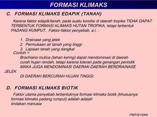 FORMASI KLIMAKS
ITMT/S1/SAN
C. FORMASI KLIMAKS EDAPIK (TANAH)
Karena faktor edapik/tanah, pada suatu kondisi di daerah tropika TIDAK DAPAT
TERBENTUK FORMASI KLIMAKS HUTAN TROPIKA, tetapi terbentuk
PADANG RUMPUT. Faktor-faktor penyebab, a.l. :
1. Drainase yang jelek
2. Permukaan air tanah yang tinggi
3. Lapisan tanah yang dangkal
Contoh =
Brachiaria mutica (tahan kering) dapat mendominasi di daerah
curah hujan rendah, tetapi karena toleran pada genangan periodik
MAKA JUGA MENDOMINASI DAERAK-DAERAH BERDRAINASE
JELEK
DI DAERAH BERCURAH HUJAN TINGGI.
D. FORMASI KLIMAKS BIOTIK
Faktor utama penyebab terbentuknya formasi klimaks biotik (khususnya
formasi klimaks padang rumput) adalah adalah
tindakan manusia
 