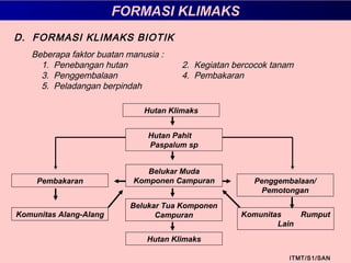 FORMASI KLIMAKS
ITMT/S1/SAN
D. FORMASI KLIMAKS BIOTIK
Beberapa faktor buatan manusia :
1. Penebangan hutan 2. Kegiatan bercocok tanam
3. Penggembalaan 4. Pembakaran
5. Peladangan berpindah
Hutan Klimaks
Hutan Pahit
Paspalum sp
Penggembalaan/
Pemotongan
Belukar Muda
Komponen CampuranPembakaran
Komunitas Rumput
Lain
Belukar Tua Komponen
CampuranKomunitas Alang-Alang
Hutan Klimaks
 
