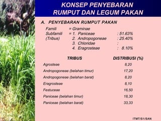 KONSEP PENYEBARAN
RUMPUT DAN LEGUM PAKAN
ITMT/S1/SAN
A. PENYEBARAN RUMPUT PAKAN
Famili = Graminae
Subfamili = 1. Paniceae : 51.63%
(Tribus) 2. Andropogoneae : 25.40%
3. Chloridae :
4. Eragrosteae : 8.10%
TRIBUS DISTRIBUSI (%)
Agrosteae 8,20
Andropogoneae (belahan timur) 17,20
Andropogoneae (belahan barat) 8,20
Eragrosteae 8,10
Festuceae 16,50
Paniceae (belahan timur) 18,30
Paniceae (belahan barat) 33,33
 
