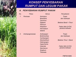 KONSEP PENYEBARAN
RUMPUT DAN LEGUM PAKAN
ITMT/S1/SAN
A. PENYEBARAN RUMPUT PAKAN
No. Tribus Genus Penyebaran
1 Paniceae Axonopus
Brachiaria
Cenchrus
Digitaria
Panicum
Paspalum
Pennisetum
Setaria
Tropis
dan Subtropis
Belahan Barat > Timur
Faktor iklim (t+CH)
penentu terbesar
2 Andropogonaceae Andropogon
Brothriochloa
Cymbopogon
Dischanthium
Heteropogon
Hyperrhenia
Imperata
Saccharum
Sorghum
Themeda
Tropis
dan Subtropis
Belahan Timur > Barat
Faktor iklim (t+CH)
penentu terbesar
 
