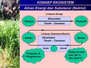 KONSEP EKOSISTEM
Aliran Energi dan Substansi (Nutrisi)
Mikrobiol/S1/SAN
Lintasan Energi
Ekosistem
Tanah - Tanaman
Cahaya Panas/E
Ekosistem
Tanah – Tanaman
Padat (m+bo)
Cair (air t.)
Gas (pori t)
Produsen &
Penghancur
Biotik Abiotik
Bahan Bahan
Lintasan Substansi/Nutrisi
ITMT/S1/SAN
 