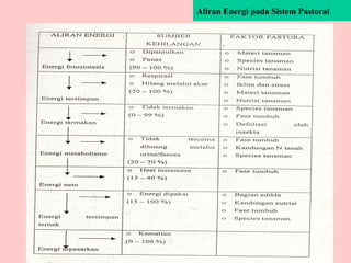 Aliran Energi pada Sistem Pastoral
 