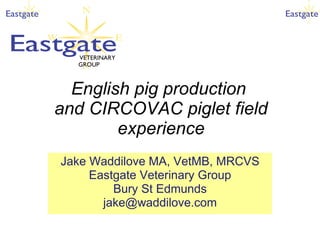 English pig production  and CIRCOVAC piglet field experience Jake Waddilove MA, VetMB, MRCVS Eastgate Veterinary Group Bury St Edmunds [email_address] VETERINARY GROUP 