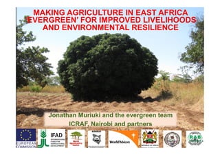 Jonathan Muriuki and the evergreen team
ICRAF, Nairobi and partners
MAKING AGRICULTURE IN EAST AFRICA
‘EVERGREEN’ FOR IMPROVED LIVELIHOODS
AND ENVIRONMENTAL RESILIENCE
 