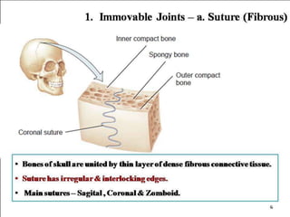 Os Multangular Joint 04 joints hap by sughosh | PPTX