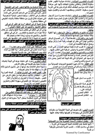 Scanned by CamScanner