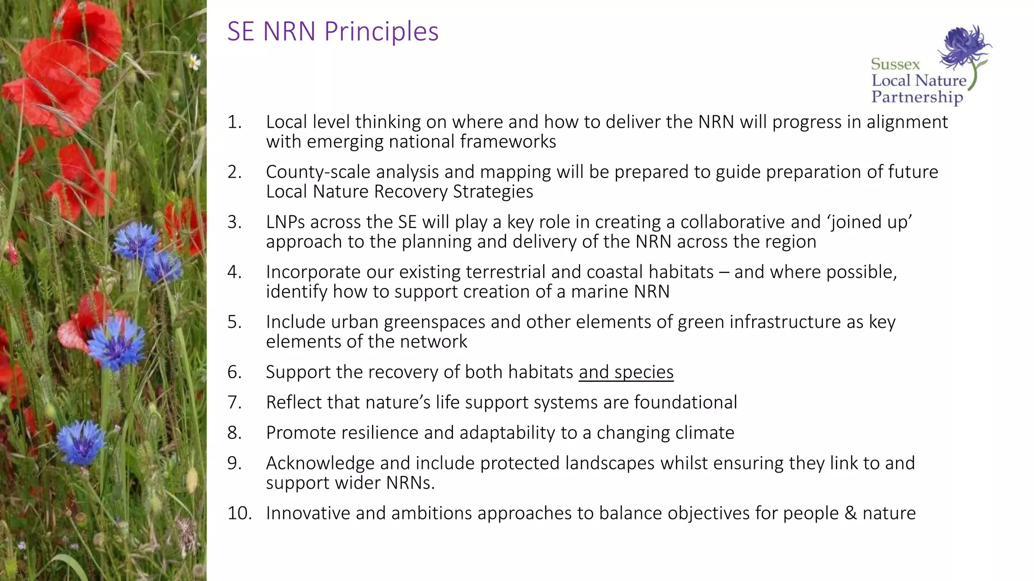 SE NRN Principles
1. Local level thinking on where and how to deliver the NRN will progress in alignment
with emerging national frameworks
2. County-scale analysis and mapping will be prepared to guide preparation of future
Local Nature Recovery Strategies
3. LNPs across the SE will play a key role in creating a collaborative and ‘joined up’
approach to the planning and delivery of the NRN across the region
4. Incorporate our existing terrestrial and coastal habitats – and where possible,
identify how to support creation of a marine NRN
5. Include urban greenspaces and other elements of green infrastructure as key
elements of the network
6. Support the recovery of both habitats and species
7. Reflect that nature’s life support systems are foundational
8. Promote resilience and adaptability to a changing climate
9. Acknowledge and include protected landscapes whilst ensuring they link to and
support wider NRNs.
10. Innovative and ambitions approaches to balance objectives for people & nature
 