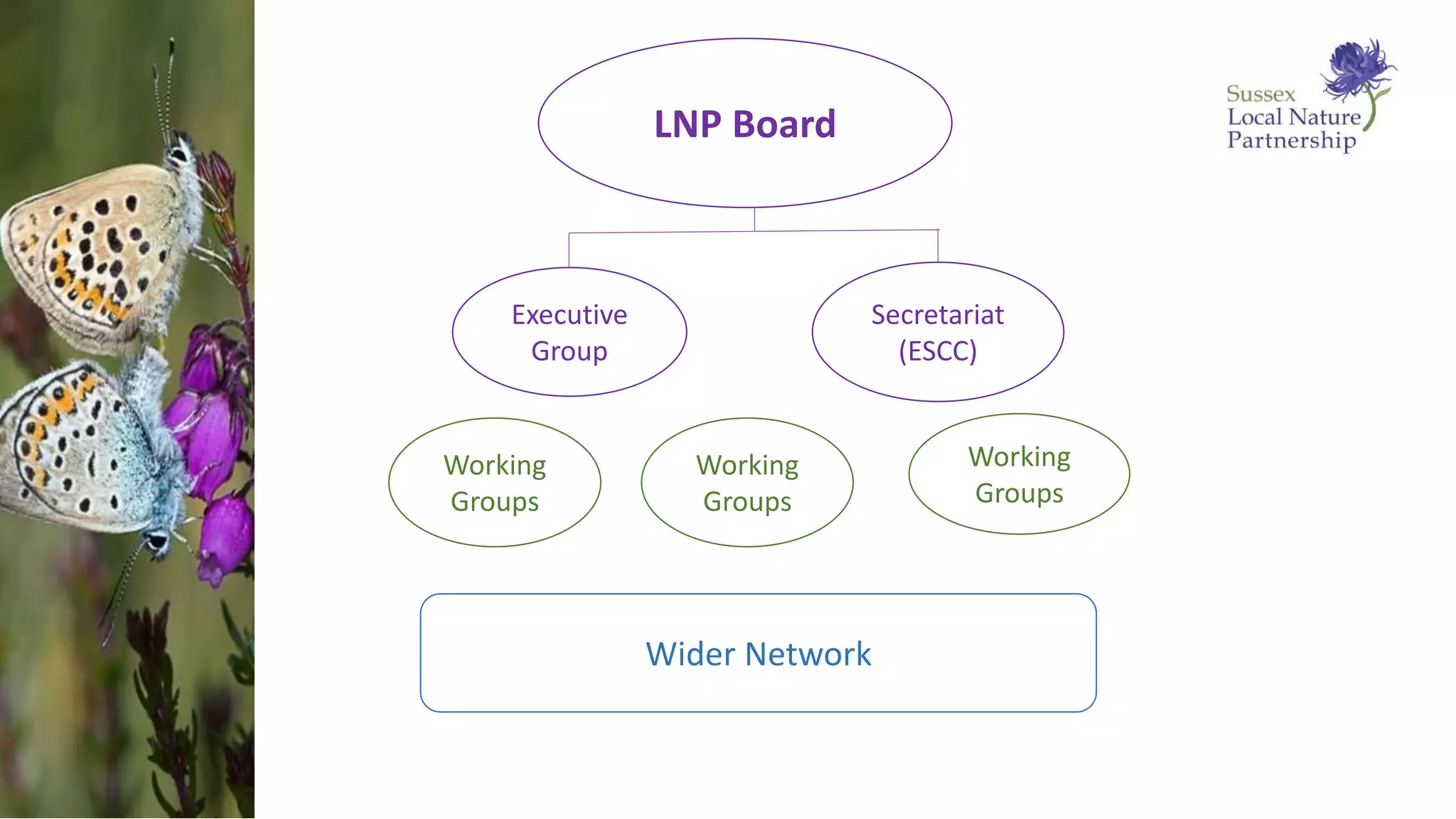 Working
Groups
LNP Board
Executive
Group
Working
Groups
Working
Groups
Secretariat
(ESCC)
Wider Network
 