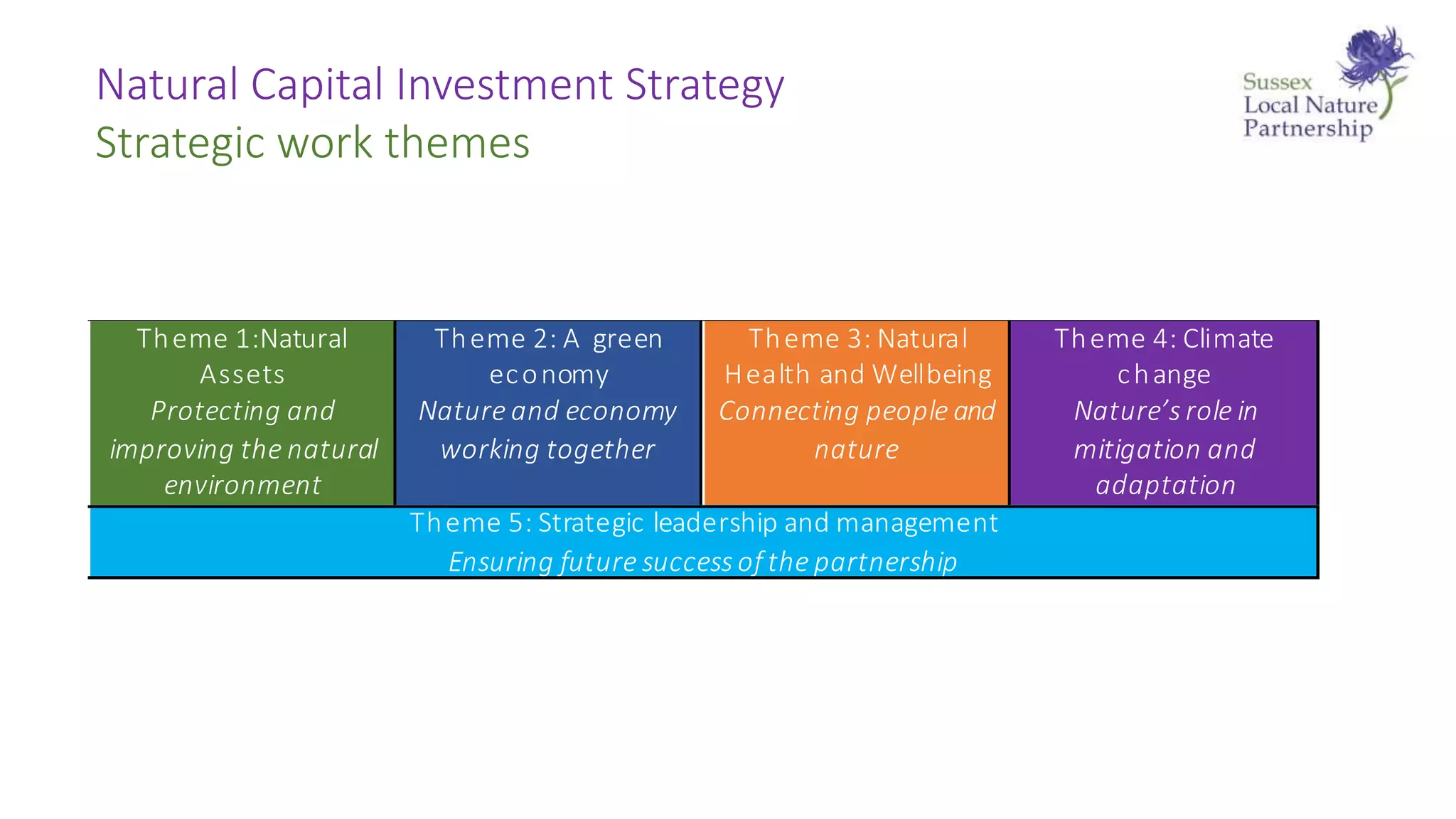 Natural Capital Investment Strategy
Strategic work themes
 