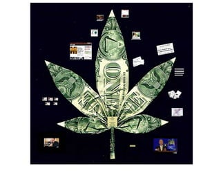 “The Business of Pot” by Ricardo Baca and Kevin Dale