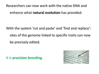 Researchers can now work with the native DNA and
enhance what natural evolution has provided.
With the system ‘cut and paste’ and ‘find and replace’:
sites of the genome linked to specific traits can now
be precisely edited.
It is precision breeding.
 