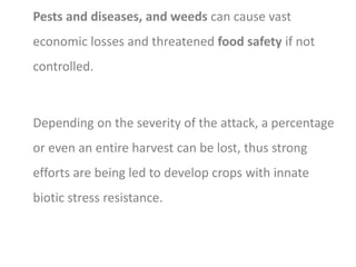 Pests and diseases, and weeds can cause vast
economic losses and threatened food safety if not
controlled.
Depending on the severity of the attack, a percentage
or even an entire harvest can be lost, thus strong
efforts are being led to develop crops with innate
biotic stress resistance.
 