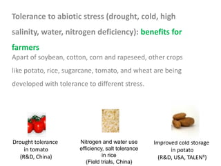 Tolerance to abiotic stress (drought, cold, high
salinity, water, nitrogen deficiency): benefits for
farmers
Drought tolerance
in tomato
(R&D, China)
Apart of soybean, cotton, corn and rapeseed, other crops
like potato, rice, sugarcane, tomato, and wheat are being
developed with tolerance to different stress.
Improved cold storage
in potato
(R&D, USA, TALENR)
Nitrogen and water use
efficiency, salt tolerance
in rice
(Field trials, China)
 