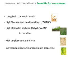 Increase nutritional traits: benefits for consumers
- Low gliadin content in wheat
- High fiber content in wheat (Calyxt, TALENR)
- High oleic oil in soybean (Calyxt, TALENR)
in camelina
- High amylose content in rice
- Increased anthocyanin production in grapewine
 