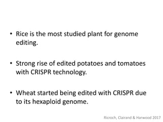 • Rice is the most studied plant for genome
editing.
• Strong rise of edited potatoes and tomatoes
with CRISPR technology.
• Wheat started being edited with CRISPR due
to its hexaploid genome.
Ricroch, Clairand & Harwood 2017
 