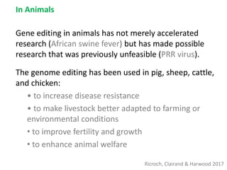 In Animals
Gene editing in animals has not merely accelerated
research (African swine fever) but has made possible
research that was previously unfeasible (PRR virus).
The genome editing has been used in pig, sheep, cattle,
and chicken:
• to increase disease resistance
• to make livestock better adapted to farming or
environmental conditions
• to improve fertility and growth
• to enhance animal welfare
Ricroch, Clairand & Harwood 2017
 