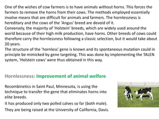 Hornlessness: Improvement of animal welfare
Recombinetics in Saint Paul, Minnesota, is using the
technique to transfer the gene that eliminates horns into
elite breeds.
It has produced only two polled calves so far (both male).
They are being raised at the University of California, Davis.
One of the wishes of cow farmers is to have animals without horns. This forces the
farmers to remove the horns from their cows. The methods employed essentially
involve means that are difficult for animals and farmers. The hornlessness is
hereditary and the cows of the 'Angus' breed are devoid of it.
Conversely, the majority of 'Holstein' breeds, which are widely used around the
world because of their high milk production, have horns. Other breeds of cows could
therefore carry the hornlessness following a classic selection, but it would take about
20 years.
The structure of the 'hornless' gene is known and its spontaneous mutation could in
principle be mimicked by gene targeting. This was done by implementing the TALEN
system, 'Holstein cows' were thus obtained in this way.
 