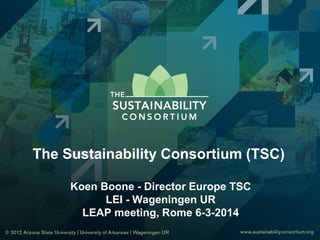 The Sustainability Consortium (TSC)
Koen Boone - Director Europe TSC
LEI - Wageningen UR
LEAP meeting, Rome 6-3-2014
 