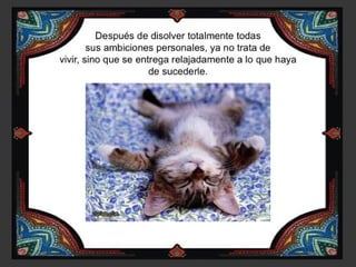 04 la jornada del héroe