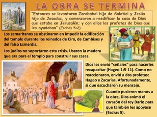 Los samaritanos se obstinaron en impedir la edificación
del templo durante los reinados de Ciro, de Cambises y
del falso Esmerdis.
Los judíos no soportaron esta crisis. Usaron la madera
que era para el templo para construir sus casas.
Dios les envió “señales” para hacerles
recapacitar (Hageo 1:5-11). Como no
reaccionaron, envió a dos profetas:
Hageo y Zacarías. Afortunadamente,
sí que escucharon su mensaje.
Cuando pusieron manos a
la obra, Dios animó el
corazón del rey Darío para
que también les apoyase
(Esdras 5).
 