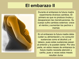 El embarazo II 
Durante el embarazo la futura madre 
experimenta diversos cambios. El 
primero es que no produce óvulos y ...