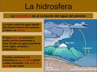 La hidrosfera
La hidrosfera es el conjunto del agua del planeta
La mayor parte del agua líquida
del planeta está en los océanos
y mares: es salada.
El agua dulce se encuentra
dentro de los continentes e
islas. Puede ser agua superficial
(ríos, lagos, arroyos) o
subterránea.
También pertenece a la
hidrosfera el agua helada (polos
y altas montañas) y el vapor de
agua de las nubes

 