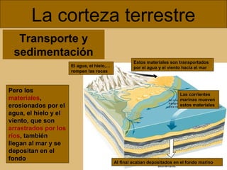 La corteza terrestre
Transporte y
sedimentación
El agua, el hielo,…
rompen las rocas

Pero los
materiales,
erosionados por el
agua, el hielo y el
viento, que son
arrastrados por los
ríos, también
llegan al mar y se
depositan en el
fondo

Estos materiales son transportados
por el agua y el viento hacia el mar

Las corrientes
marinas mueven
estos materiales

Al final acaban depositados en el fondo marino

 