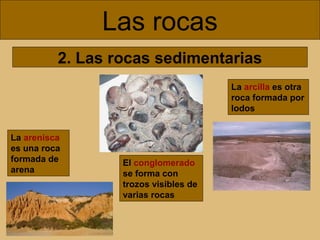 Las rocas
2. Las rocas sedimentarias
La arcilla es otra
roca formada por
lodos
La arenisca
es una roca
formada de
arena

El conglomerado
se forma con
trozos visibles de
varias rocas

 