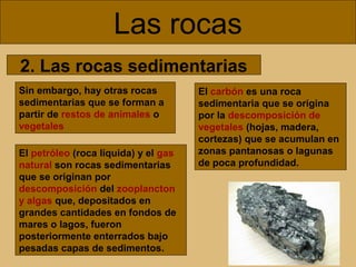 Las rocas
2. Las rocas sedimentarias
Sin embargo, hay otras rocas
sedimentarias que se forman a
partir de restos de animales o
vegetales
El petróleo (roca líquida) y el gas
natural son rocas sedimentarias
que se originan por
descomposición del zooplancton
y algas que, depositados en
grandes cantidades en fondos de
mares o lagos, fueron
posteriormente enterrados bajo
pesadas capas de sedimentos.

El carbón es una roca
sedimentaria que se origina
por la descomposición de
vegetales (hojas, madera,
cortezas) que se acumulan en
zonas pantanosas o lagunas
de poca profundidad.

 
